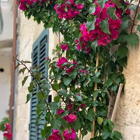 Saraceni - Centro Storico Apartmán Lecce